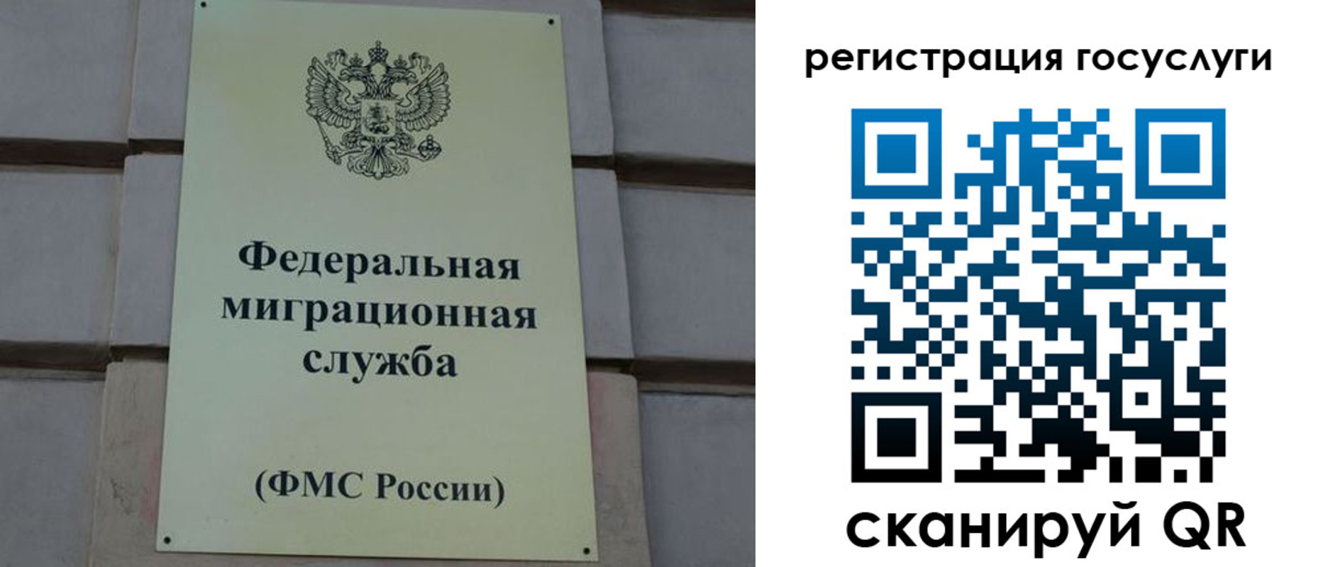 временная регистрация поиск в Шилке